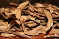 сушеный гриб рейши