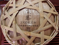 2700 летнее дерево из Qianjiazai